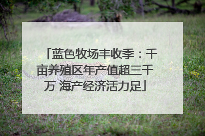 蓝色牧场丰收季：千亩养殖区年产值超三千万 海产经济活力足