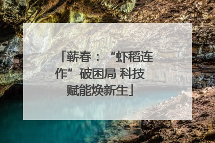 蕲春：“虾稻连作”破困局 科技赋能焕新生