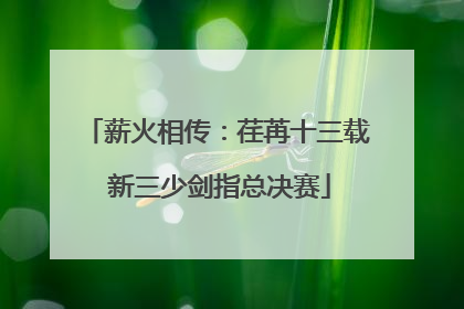 薪火相传：荏苒十三载 新三少剑指总决赛