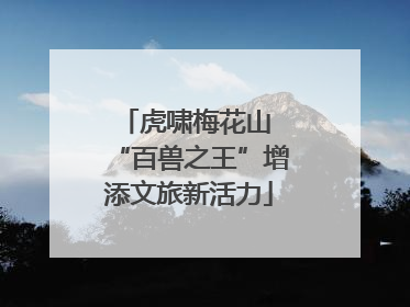虎啸梅花山 “百兽之王”增添文旅新活力
