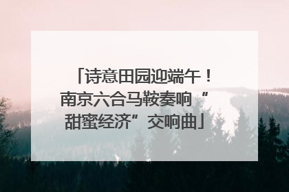 诗意田园迎端午！南京六合马鞍奏响“甜蜜经济”交响曲