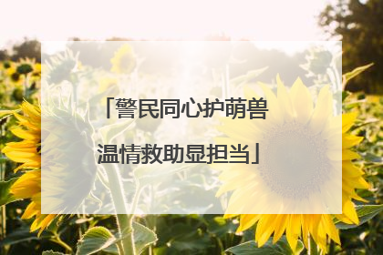 警民同心护萌兽 温情救助显担当