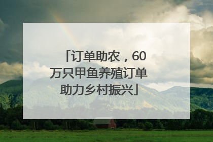 订单助农，60万只甲鱼养殖订单助力乡村振兴