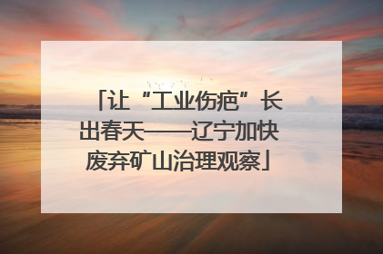 让“工业伤疤”长出春天——辽宁加快废弃矿山治理观察
