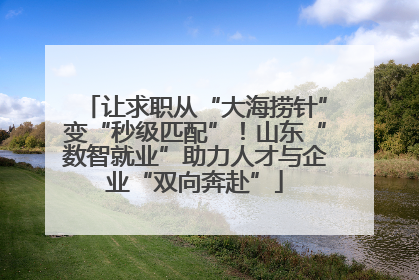 让求职从“大海捞针”变“秒级匹配”！山东“数智就业”助力人才与企业“双向奔赴”