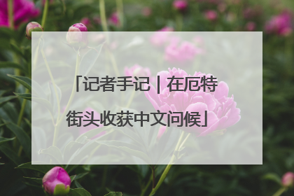 记者手记｜在厄特街头收获中文问候