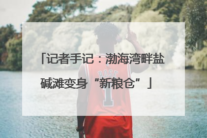记者手记：渤海湾畔盐碱滩变身“新粮仓”
