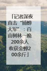 记者深夜直击“捕蝉大军”：百亩树林一晚200余人收获金蝉200余斤