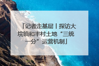 记者走基层丨探访大垸镇和丰村土地“三统一分”运营机制