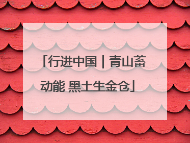 行进中国｜青山蓄动能 黑土生金仓