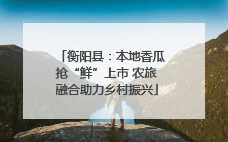 衡阳县：本地香瓜抢“鲜”上市 农旅融合助力乡村振兴