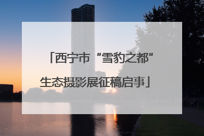 西宁市“雪豹之都”生态摄影展征稿启事