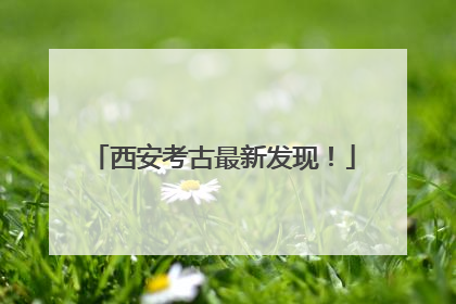 西安考古最新发现！
