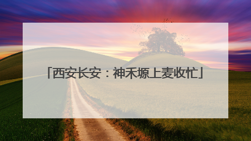 西安长安：神禾塬上麦收忙