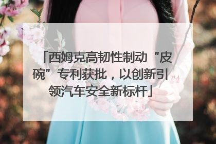 西姆克高韧性制动“皮碗”专利获批，以创新引领汽车安全新标杆