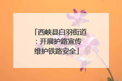 西峡县白羽街道：开展护路宣传 维护铁路安全