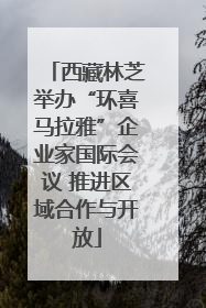 西藏林芝举办“环喜马拉雅”企业家国际会议 推进区域合作与开放