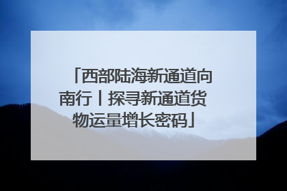 西部陆海新通道向南行丨探寻新通道货物运量增长密码