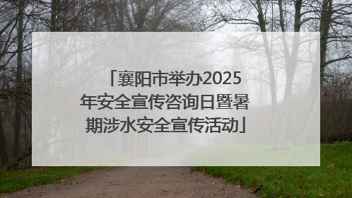 襄阳市举办2025年安全宣传咨询日暨暑期涉水安全宣传活动