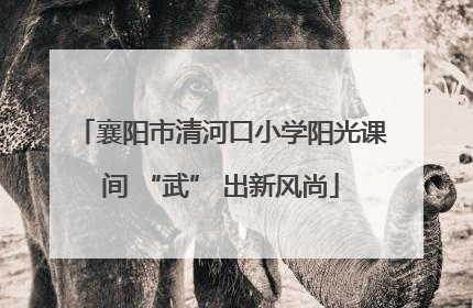 襄阳市清河口小学阳光课间 “武” 出新风尚