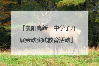 襄阳高新一中学子开展劳动实践教育活动