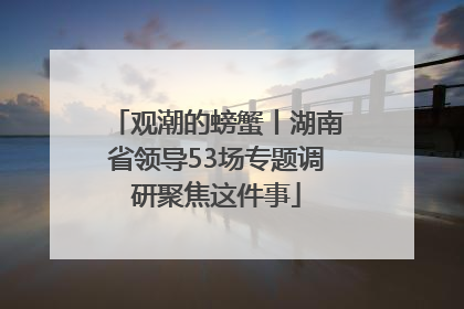 观潮的螃蟹丨湖南省领导53场专题调研聚焦这件事
