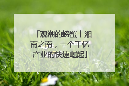 观潮的螃蟹丨湘南之南，一个千亿产业的快速崛起