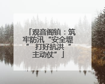 观音阁镇：筑牢防汛“安全堤” 打好抗洪“主动仗”