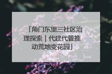 角门东里三社区治理探索｜代建代管推动荒地变花园