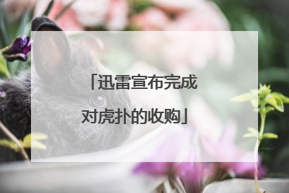 迅雷宣布完成对虎扑的收购