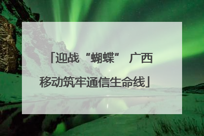 迎战“蝴蝶” 广西移动筑牢通信生命线