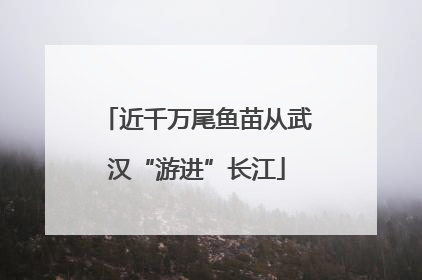 近千万尾鱼苗从武汉“游进”长江