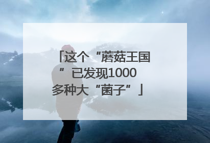 这个“蘑菇王国”已发现1000多种大“菌子”
