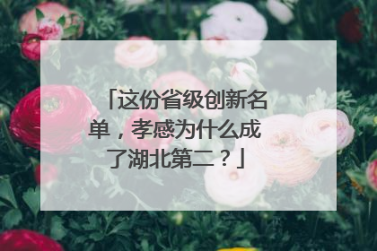 这份省级创新名单，孝感为什么成了湖北第二？