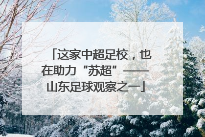 这家中超足校，也在助力“苏超”——山东足球观察之一