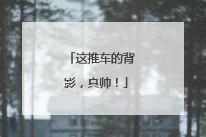 这推车的背影，真帅！