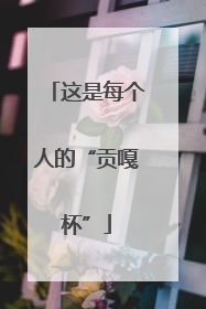这是每个人的“贡嘎杯”