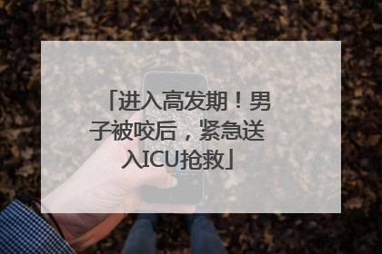 进入高发期！男子被咬后，紧急送入ICU抢救