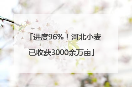 进度96%！河北小麦已收获3000余万亩