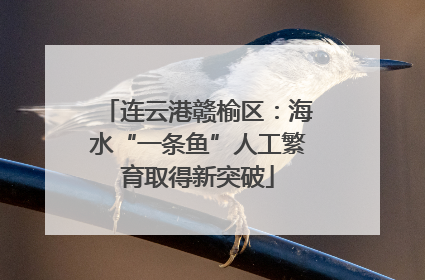 连云港赣榆区：海水“一条鱼”人工繁育取得新突破