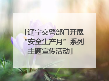 辽宁交警部门开展“安全生产月”系列主题宣传活动