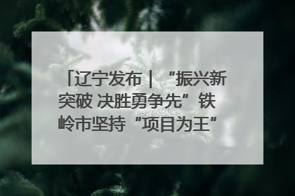 辽宁发布｜“振兴新突破 决胜勇争先”铁岭市坚持“项目为王”推进经济高质量发展
