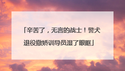 辛苦了，无言的战士！警犬退役撒娇训导员湿了眼眶