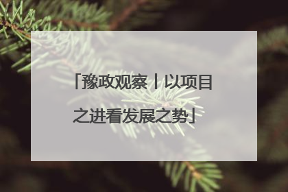 豫政观察丨以项目之进看发展之势