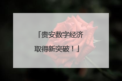 贵安数字经济取得新突破！