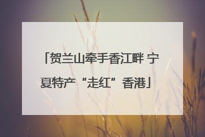 贺兰山牵手香江畔 宁夏特产“走红”香港