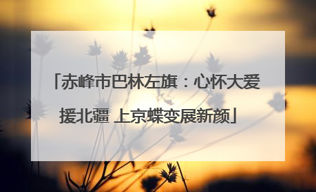 赤峰市巴林左旗：心怀大爱援北疆 上京蝶变展新颜