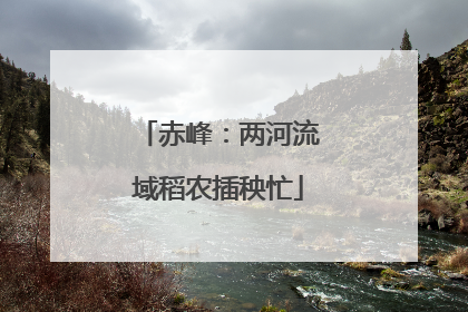 赤峰：两河流域稻农插秧忙