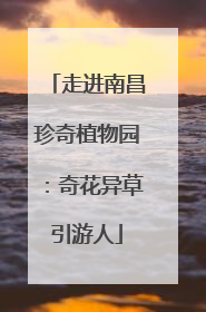 走进南昌珍奇植物园：奇花异草引游人