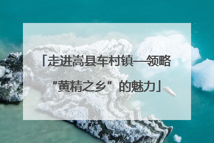 走进嵩县车村镇—领略“黄精之乡”的魅力